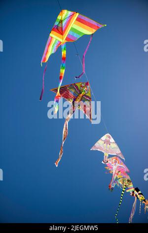 Documentazione fotografica della serie di acari colorati che volano nel cielo blu Foto Stock