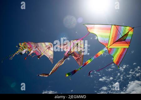 Documentazione fotografica della serie di acari colorati che volano nel cielo blu Foto Stock