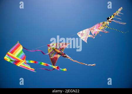 Documentazione fotografica della serie di acari colorati che volano nel cielo blu Foto Stock