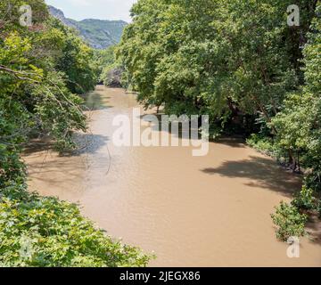 Grecia. Fiume Pineios in vale di tempi, Tessaglia. Fiume acqua marrone che scorre, grandi alberi verdi sulle rive, vista dall'alto Foto Stock