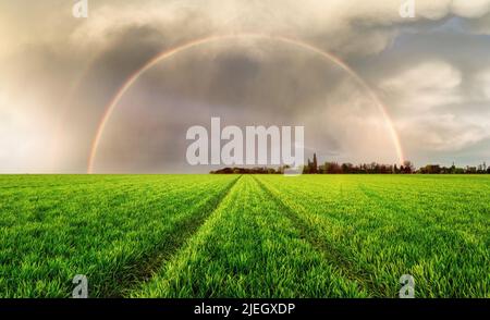 Arcobaleno su prato verde con strada Foto Stock
