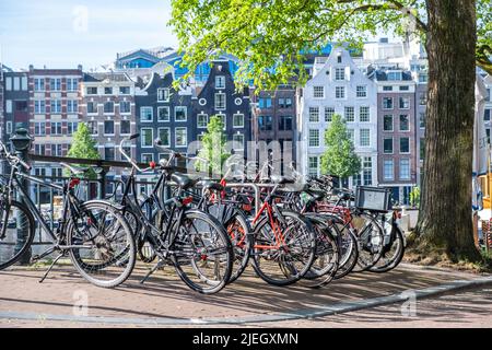 Biciclette parcheggiate su un ponte sul canale. Amsterdam tradizionale facciata in mattoni case sfondo. Giornata di sole, Olanda Foto Stock