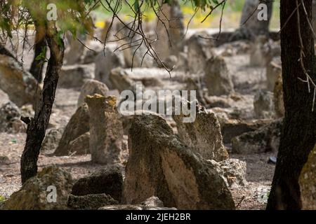 Primo piano di un vecchio terreno di sepoltura con messa a fuoco selettiva. Foto Stock
