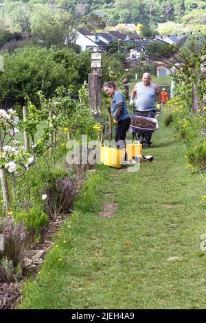 Volontari a Newquay Orchard un'iniziativa comunitaria a Newquay in Cornovaglia nel Regno Unito. Foto Stock