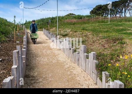 Un volontario che spinge una carriola lungo un percorso a Newquay Orchard un'iniziativa comunitaria a Newquay in Cornovaglia nel Regno Unito. Foto Stock