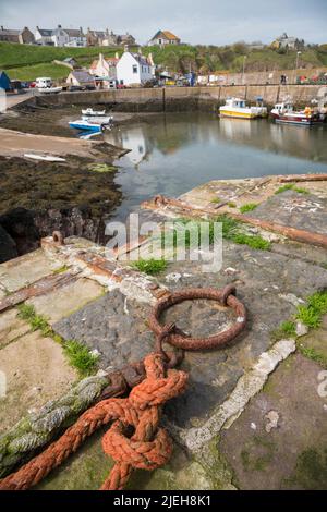 St Abbs villaggio e porto, Berwickshire, Scozia Foto Stock