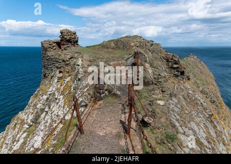Resti di Fast Head Castle, costa di Berwickshire, Scozia Foto Stock