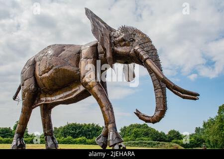 Sculture in metallo che si basano presso la British Iron Works di Oswestry Shropshire. Ci sono leoni, tigri, elefanti, pavoni, zebre ecc ecc Foto Stock