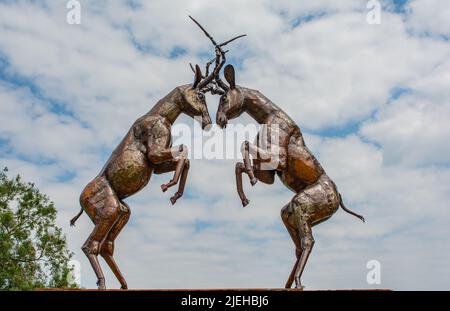 Sculture in metallo che si basano presso la British Iron Works di Oswestry Shropshire. Ci sono leoni, tigri, elefanti, pavoni, zebre ecc ecc Foto Stock