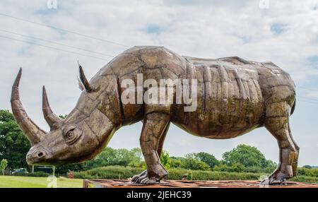 Sculture in metallo che si basano presso la British Iron Works di Oswestry Shropshire. Ci sono leoni, tigri, elefanti, pavoni, zebre ecc ecc Foto Stock