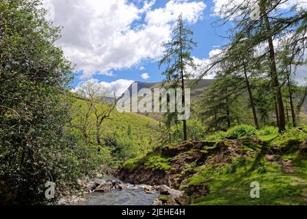 La forza di Ritson e Mosedale Beck con Lingmell cadde in lontananza a Wasdale il giorno di sole estati Lake District Cumbria Inghilterra UK Foto Stock