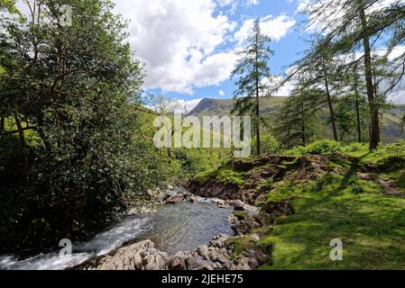 La forza di Ritson e Mosedale Beck con Lingmell cadde in lontananza a Wasdale il giorno di sole estati Lake District Cumbria Inghilterra UK Foto Stock