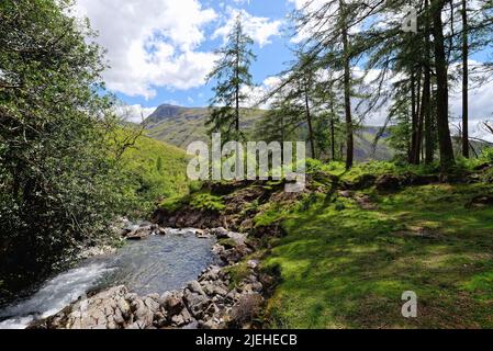 La forza di Ritson e Mosedale Beck con Lingmell cadde in lontananza a Wasdale il giorno di sole estati Lake District Cumbria Inghilterra UK Foto Stock