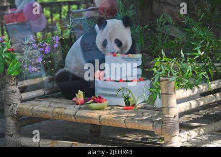 NANNING, CINA - 27 GIUGNO 2022 - il 27 giugno 20 si è tenuta una festa di compleanno dei panda giganti allo Zoo di nanning nella regione autonoma di Guangxi Zhuang nella Cina meridionale Foto Stock