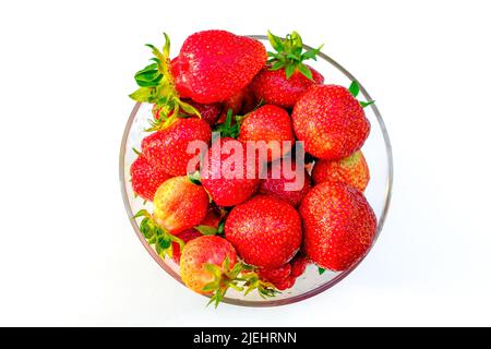 Fragola. Grandi fragole in un recipiente di vetro trasparente con gocce d'acqua su sfondo bianco. Vista dall'alto Foto Stock