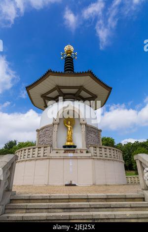 Pagoda della pace a Willen Lake, Milton Keynes, Buckinghamshire, Regno Unito nel mese di giugno Foto Stock