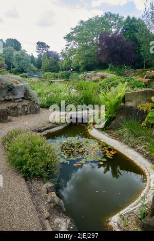 Eccezionale rockery alpina a Burnby Hall Gardens in East Yorkshire, Inghilterra, Regno Unito, GB. Foto Stock