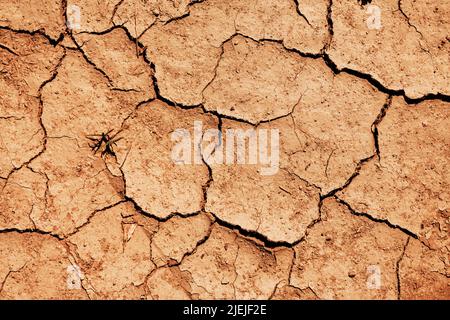 Terreno asciutto come sfondo. Cambiamento climatico e concetto di riscaldamento globale. Vista dall'alto di terreno incrinato durante la stagione della siccità in paesaggio di clima arido. Directl Foto Stock