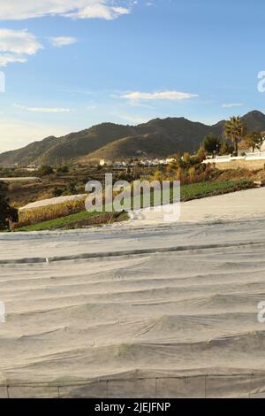 Serra di plastica bianca con struttura a vista sul mare e sulle montagne Foto Stock