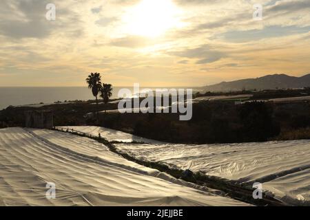 Serra di plastica bianca con struttura a vista sul mare e sulle montagne Foto Stock