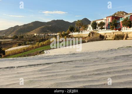 Serra di plastica bianca con struttura a vista sul mare e sulle montagne Foto Stock