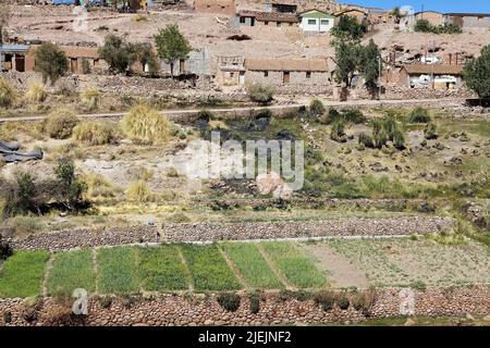 Caspana villaggio, Cile. Caspana è un villaggio cileno, a 85 km da Calama, nella gola scavata dal fiume ha condiviso il suo nome e che è un affluente di t Foto Stock