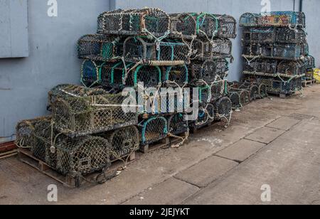 16 Giugno 2022 Scarborough, North Yorkshire, UK - vasi di aragosta accatastati sulla banchina contro un muro grigio. Foto Stock