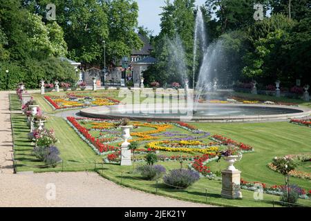 Colonia, Germania. 23rd giugno 2022. Il Giardino Botanico di Colonia, flora, fontana, aiuole di fiori, parco, Presentazione dei Grimme Online Awards 2022 il 23 giugno 2022 in The Flora Koeln, Â Credit: dpa/Alamy Live News Foto Stock