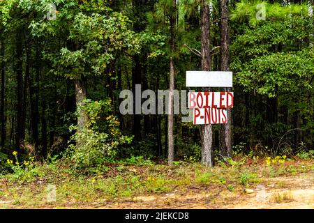 Accedi a Eatonton, Georgia per le arachidi P-Nut bollite scritte a mano in rosso sul cartello da alberi di foresta come pubblicità alimentare locale Foto Stock