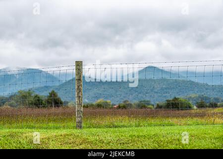 Buena Vista, Virginia campagna rurale USA verde erba campo prato vicino Blue Ridge parkway montagne con recinzione in primo piano e nubi nebbia co Foto Stock