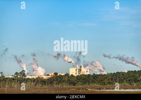 Riceboro, Georgia inquinamento da fumo da fabbrica industriale con cielo blu e alberi in paesaggio provenienti dalla produzione cartiera Foto Stock