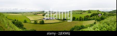 Vista dalla Rocca di Dunamase, un forte difensivo della collina del 9th secolo, Irlanda. Foto Stock