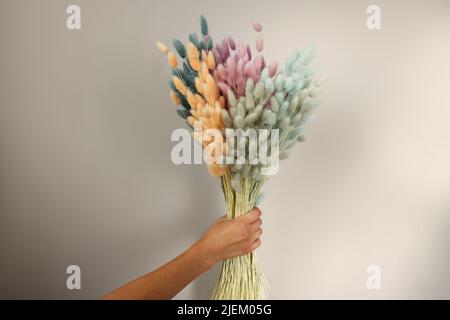 Fiori secchi multicolore con code di lepre in mano Foto Stock