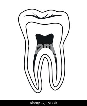 Icona raffigurante il vettore della sezione trasversale del dente Illustrazione Vettoriale