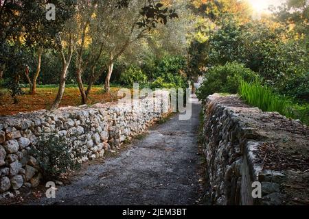 Un percorso che conduce attraverso la foresta con pareti di pietra su entrambi i lati Foto Stock