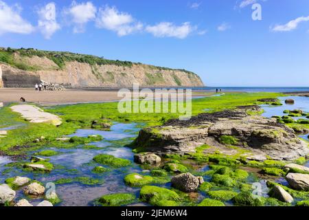 Robin Hood's Bay Yorkshire con spiaggia e rocce coperte di alghe viste dallo scivolo nel villaggio di Robin Hood's Bay Yorkshire Inghilterra UK GB Foto Stock