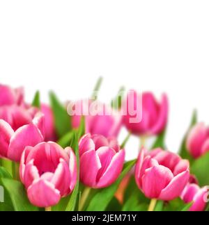 Natura, piante, fiori, mazzo di fiori, compleanno bouquet di rose, anemoni,  wind-fiore, renoncules, Ranunculus, pallon di maggio, viburno rose Foto  stock - Alamy