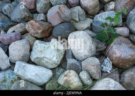 Cumulo zoomato di pietre grandi o rocce con piante verdi che crescono tra. Sopra la vista del paesaggio roccioso lungo un remoto sentiero escursionistico nella natura. Panoramica Foto Stock