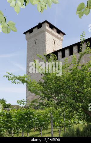 Angera, Italia - 4 giugno 2022: Parco del Castello Borromeo con la torre principale sullo sfondo. Foto Stock
