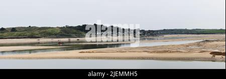 Estuario Camel panoramico con il villaggio di Rock sullo sfondo Cornovaglia Inghilterra uk Foto Stock