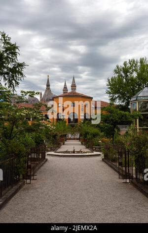 Padova, Italia - 06 10 2022: Giardino Botanico dell'Università di Padova in una giornata estiva. Foto Stock