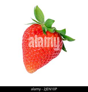 Fragola rossa matura isolata su bianco Foto Stock