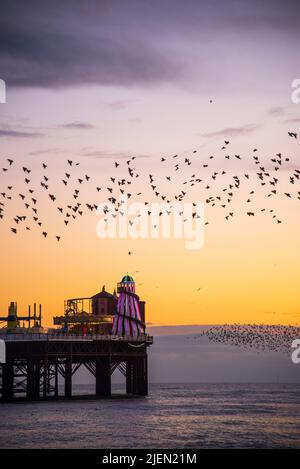 Stelle che volano sul molo di Brighton a Dusk Foto Stock