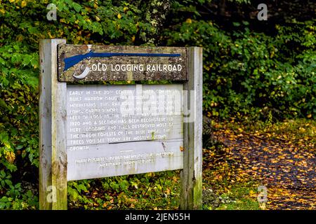 Raphine, USA - 7 ottobre 2021: Blue Ridge Mountains con cartello su parkway Overlook per le informazioni sulla storia della Old Logging Railroad in autunno stagione autunnale Foto Stock