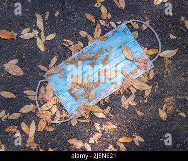 Primo piano di una maschera protettiva scartata sul terreno con foglie morte. Foto Stock