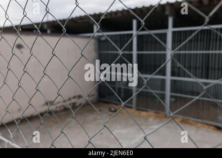 Primo piano della rete metallica. Rifugio per cani. Foto di alta qualità Foto Stock