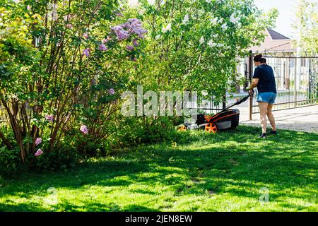 Donna gardener dai capelli castani in abiti casual estivi utilizzando il tosaerba a benzina o taglierina per erba in cortile. Giardino curato Foto Stock