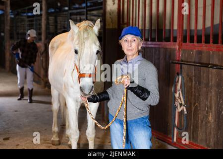 Lavoratrice stalla femminile anziata che conduce il cavallo bianco dalla briglia in fienile Foto Stock