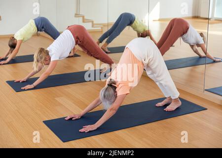 Fitness, sport e stile di vita sano concetto - donna che fa yoga verso il basso cane posa sul tappeto Foto Stock