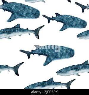 Acquerello disegnato a mano senza cuciture con squalo balena. Mare oceano animale marino, subacqueo subacqueo specie di mammifero minacciate di estinzione. Illustrazione blu grigia per arredamento in tessuto, sotto le stampe del mare Foto Stock